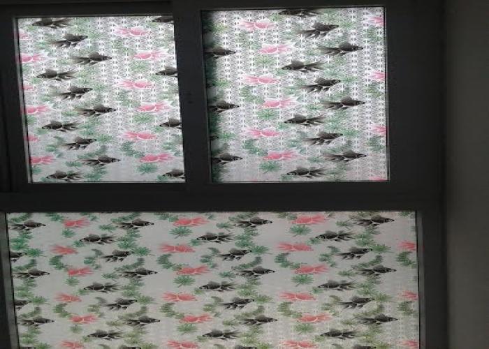 decal mờ trang trí,decal dán kính ,giấy dán kính